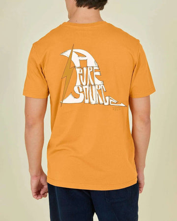 Camiseta hombre F LIGHTNING BOLT INNY T-SHIRT